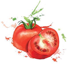 onesnap tomato salate