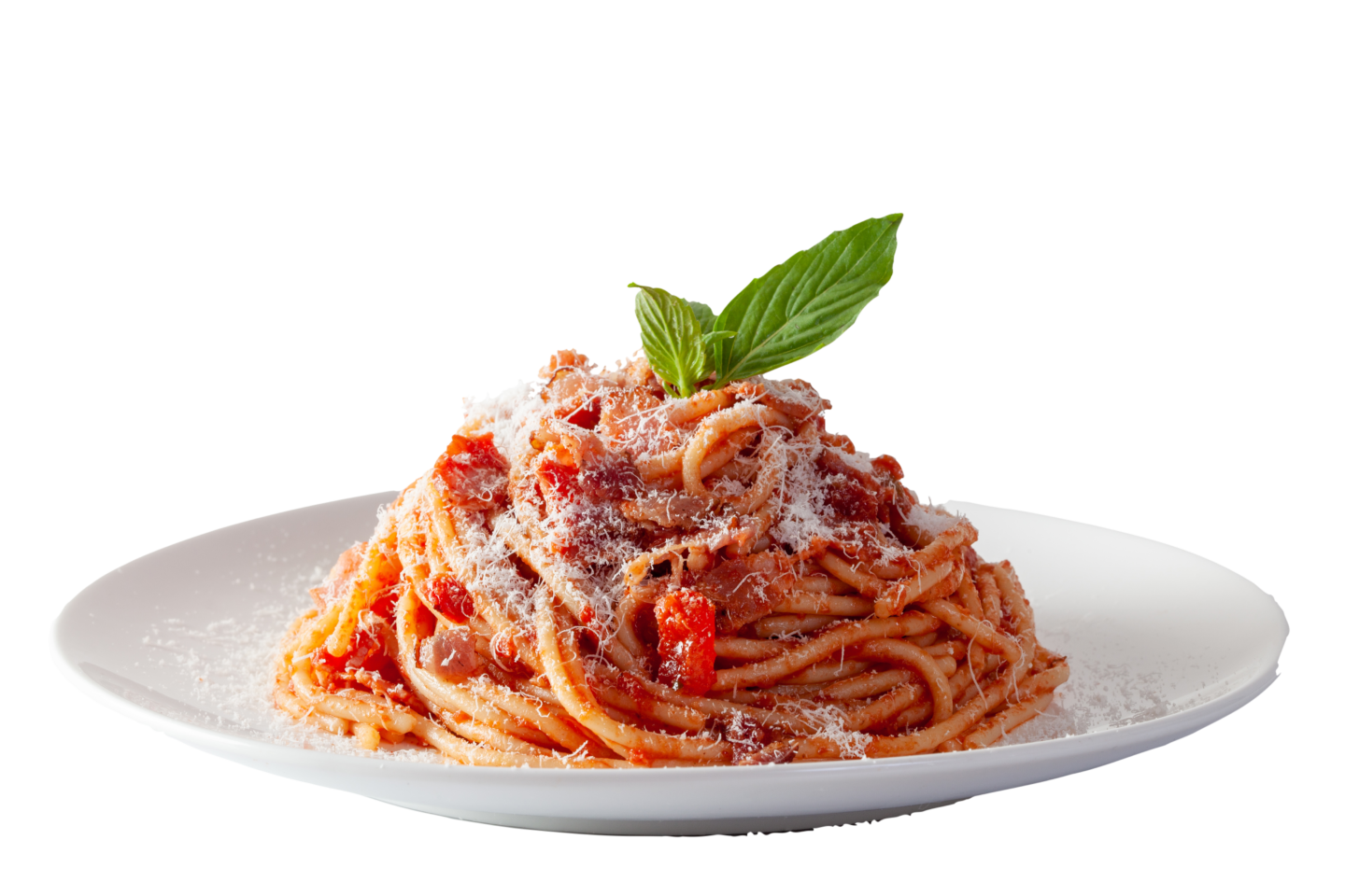 onesnap Spaghetti